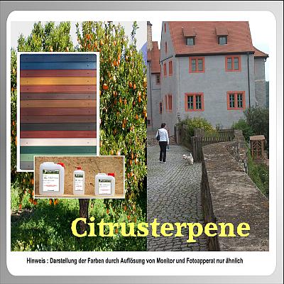 Citrusterpene 1 Liter Citrusterpene 1 Liter