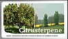 Citrusterpene