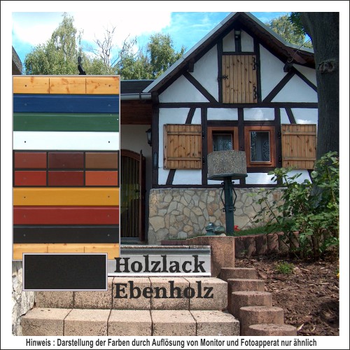 Holzlack Ebenholz 1kg Holzlack Ebenholz 1kg